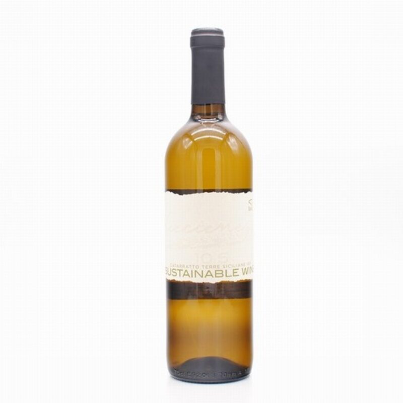 2024 Catarratto, Cantine Birgi, Terre Siciliane